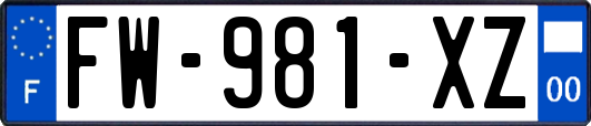 FW-981-XZ