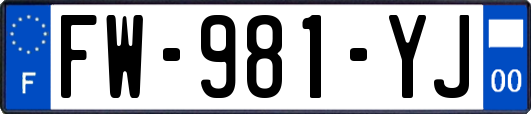 FW-981-YJ