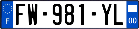 FW-981-YL