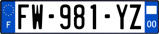 FW-981-YZ