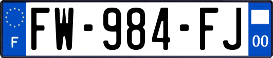 FW-984-FJ