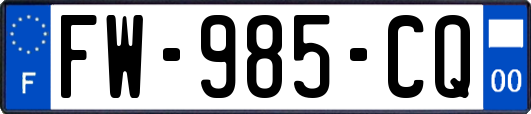 FW-985-CQ