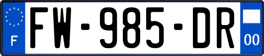 FW-985-DR