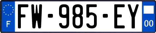 FW-985-EY