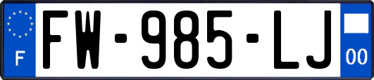 FW-985-LJ