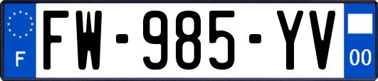 FW-985-YV