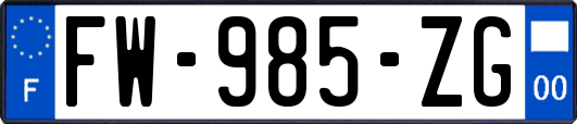 FW-985-ZG