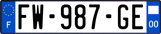 FW-987-GE