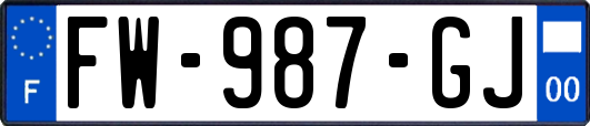 FW-987-GJ