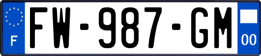FW-987-GM