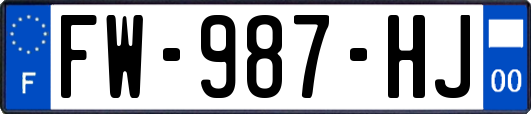 FW-987-HJ