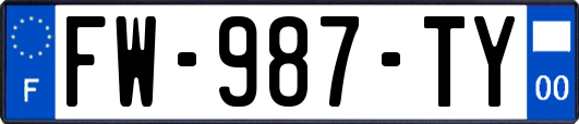 FW-987-TY