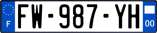FW-987-YH