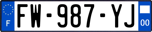 FW-987-YJ