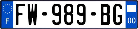 FW-989-BG