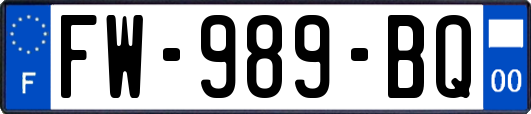 FW-989-BQ