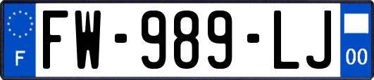 FW-989-LJ
