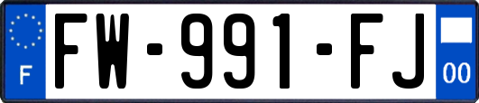 FW-991-FJ