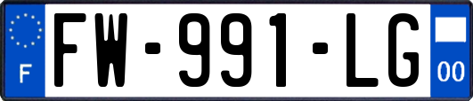 FW-991-LG