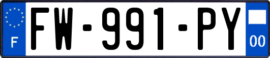 FW-991-PY