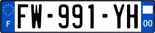 FW-991-YH
