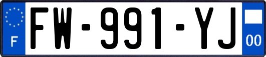 FW-991-YJ