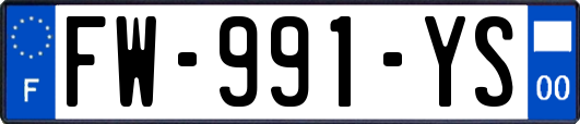 FW-991-YS