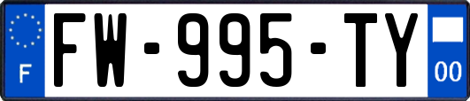FW-995-TY
