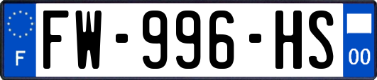 FW-996-HS