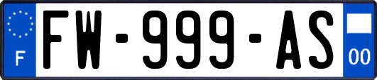 FW-999-AS