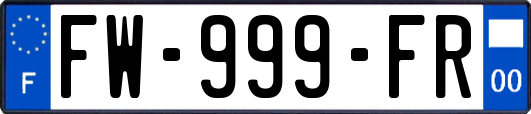 FW-999-FR