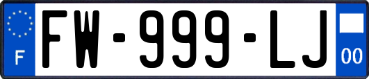 FW-999-LJ