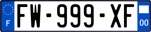 FW-999-XF