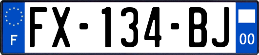 FX-134-BJ