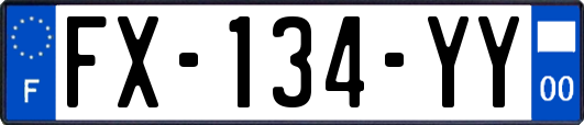 FX-134-YY