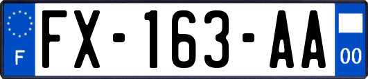 FX-163-AA