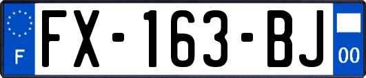 FX-163-BJ