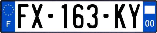 FX-163-KY