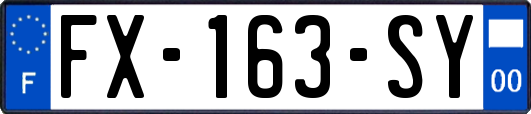 FX-163-SY