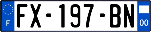FX-197-BN