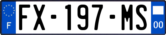 FX-197-MS