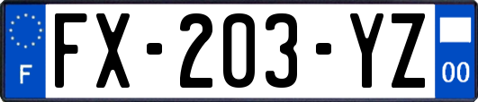 FX-203-YZ