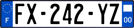 FX-242-YZ