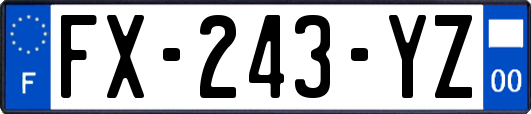 FX-243-YZ