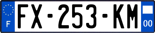 FX-253-KM