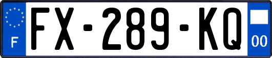 FX-289-KQ