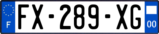 FX-289-XG