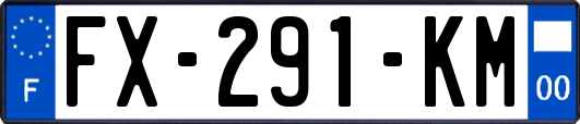 FX-291-KM