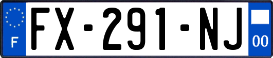 FX-291-NJ