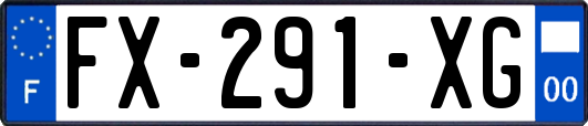 FX-291-XG